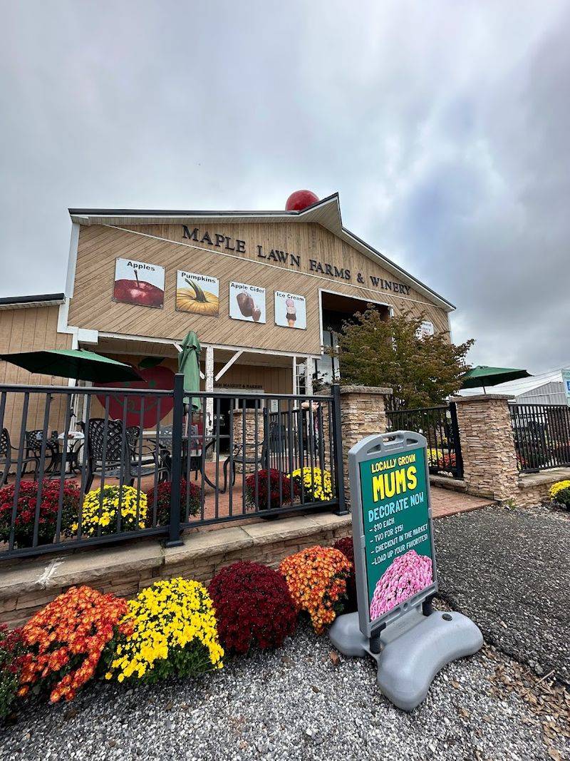 Maple Lawn Farms, New Park