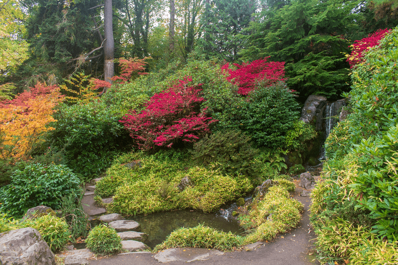 Solstice Strolls And Year-Round Charm