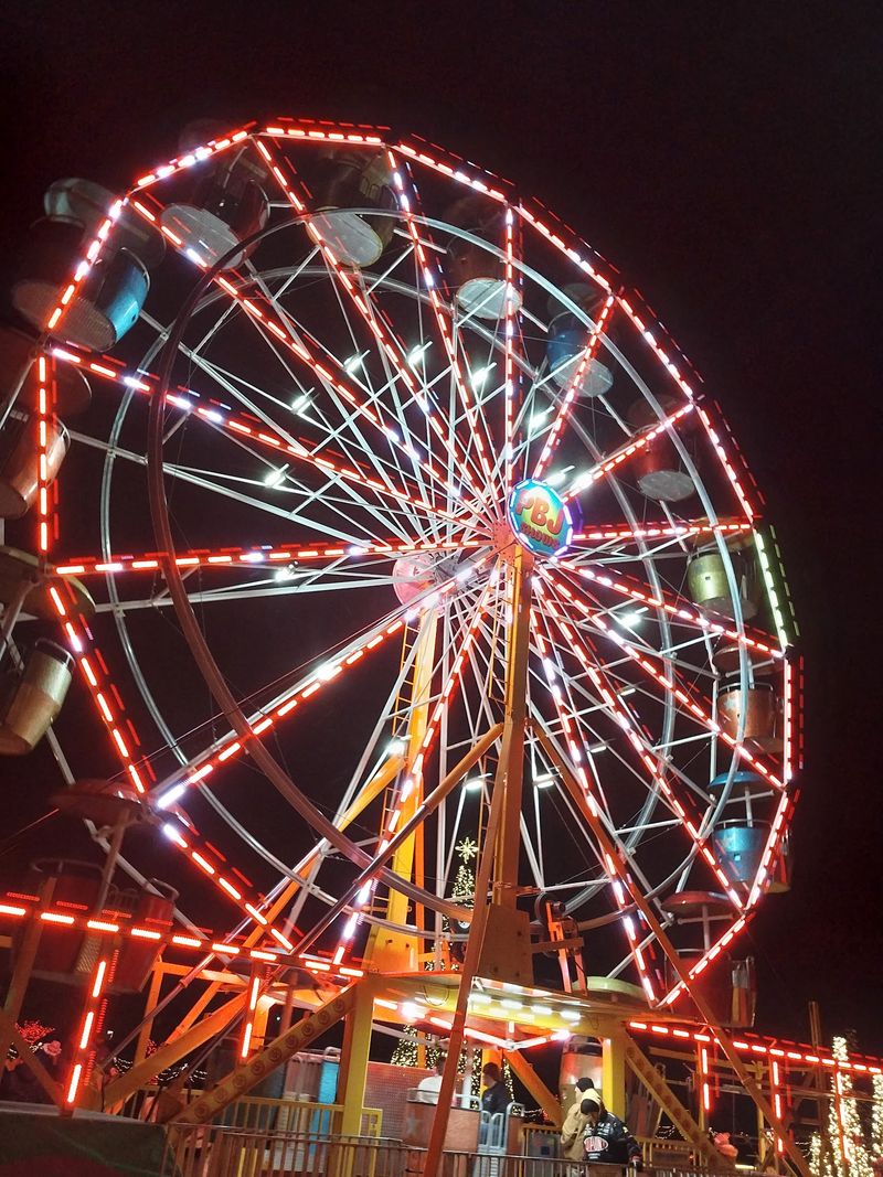 Some Favorite Rides Are Taking A Holiday Nap