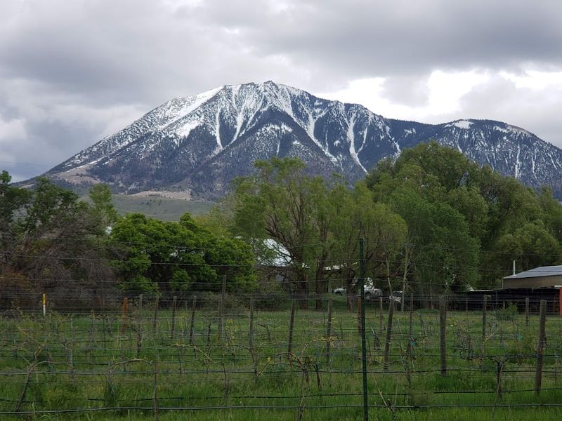 Paonia's North Fork Valley Farming Roots