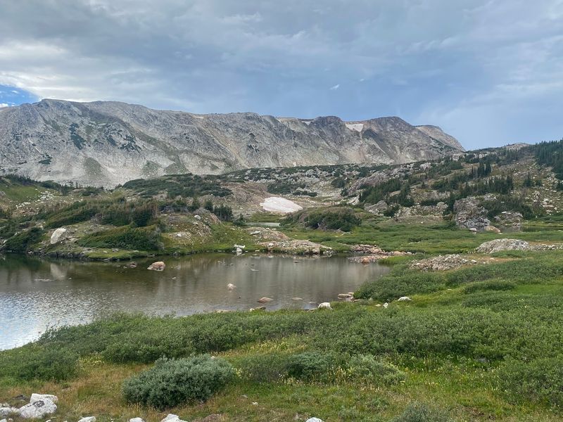 Some Of The Most Famous Dinosaurs Ever Have Wyoming Roots