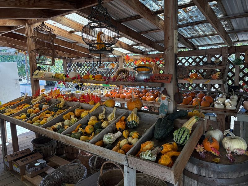 Something From the Farm Something From the Farm
