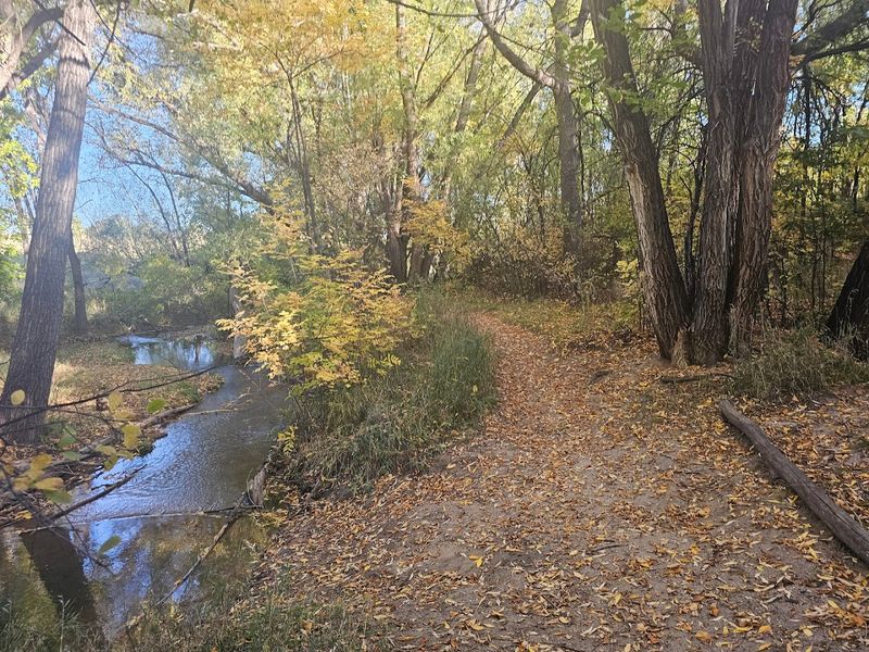 Sondermann Park Sondermann Park