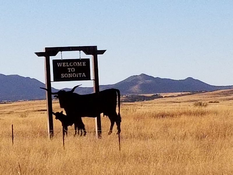 Sonoita