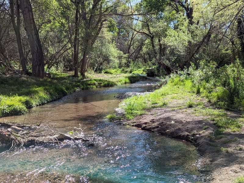 Sonoita Creek State Natural Area Sonoita Creek State Natural Area