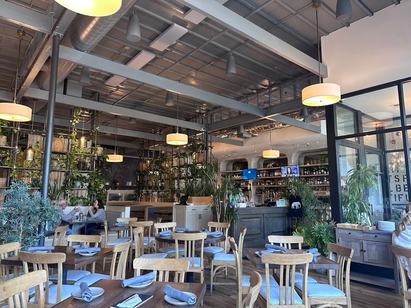 Spirit Elephant - Winnetka