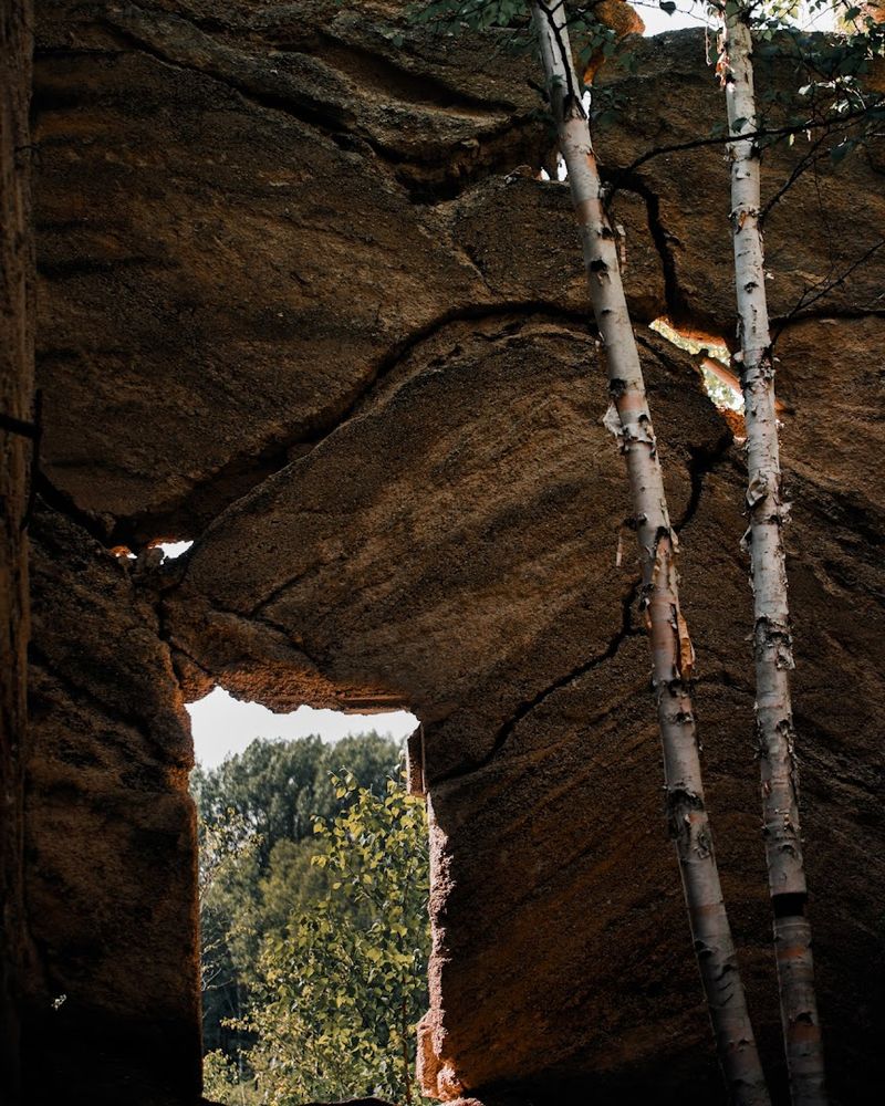 Winter Quiet, Careful Steps