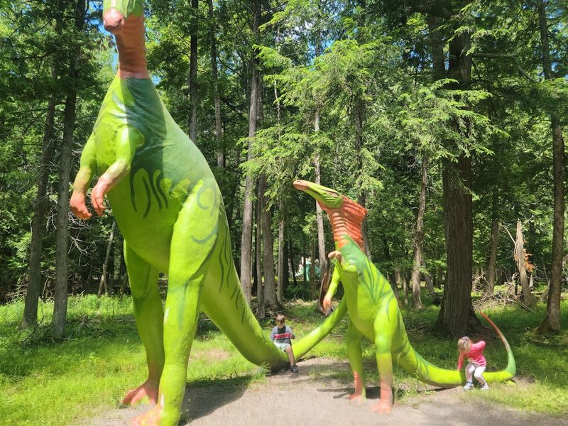 Meeting The Sauropods Up Close