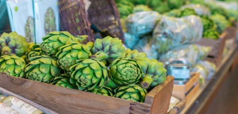 Artichokes: Edible Thistles of Monterey