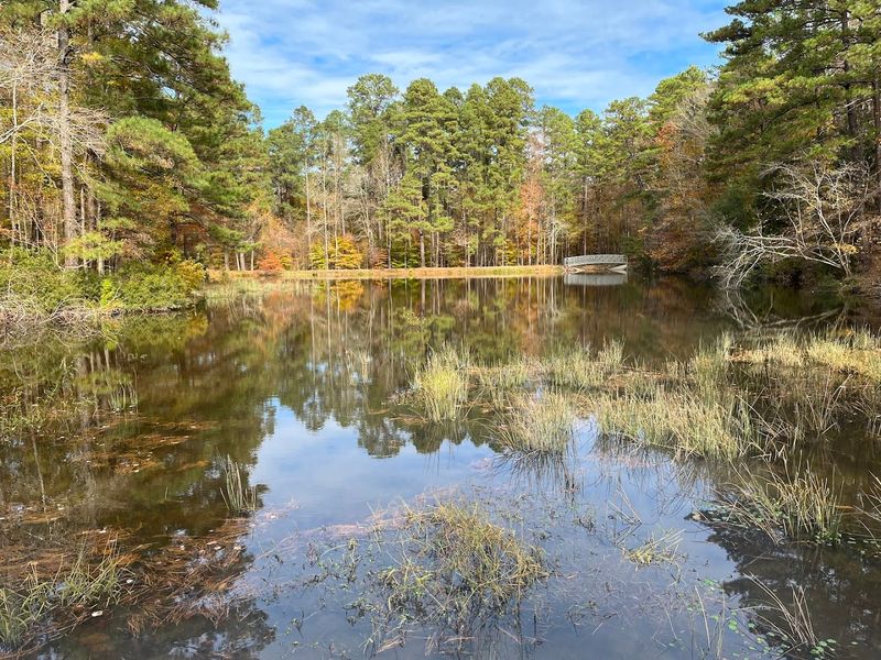 Logoly State Park, McNeil