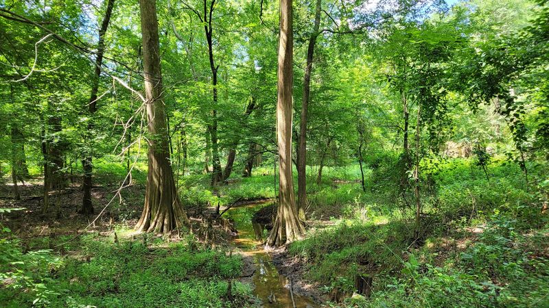 Arkansas Arboretum At Pinnacle Mountain State Park, Little Rock
