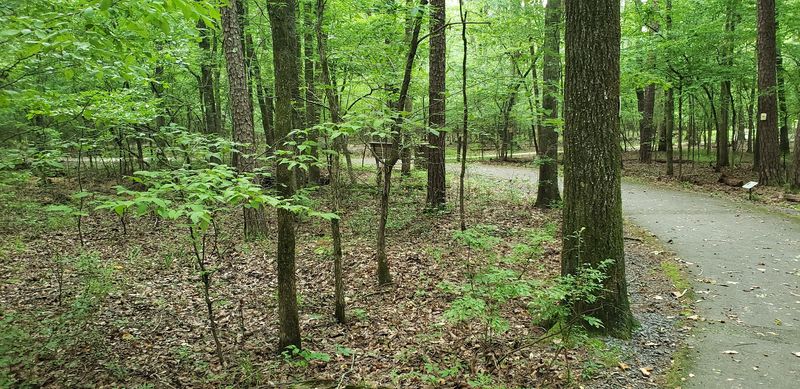 Arkansas Arboretum At Pinnacle Mountain State Park