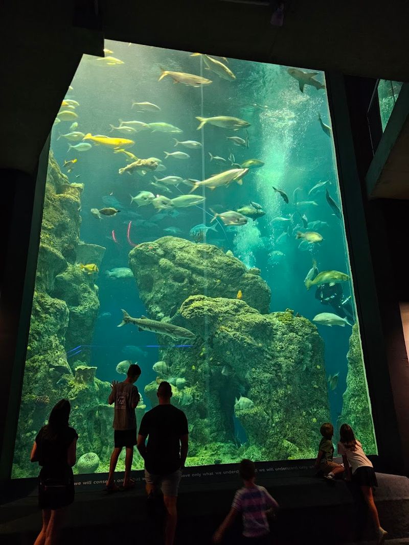 South Carolina Aquarium, Charleston