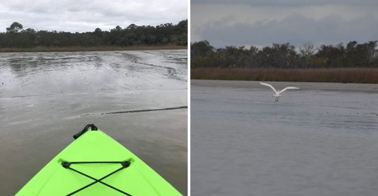 South Carolina’s Monkey Island Is Only Accessible By Boat