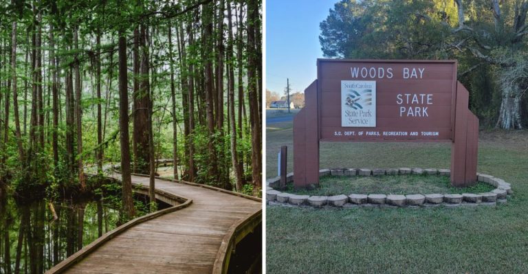 South Carolina’s Most Stunning State Park Boardwalk Will Take Your Breath Away