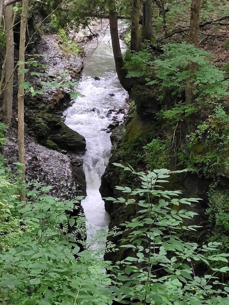 South Gorge Trail at John Bryan State Park, Yellow Springs