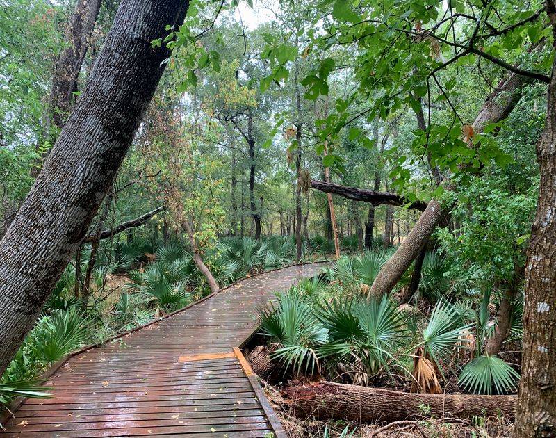 Palmetto State Park - Gonzales, Texas