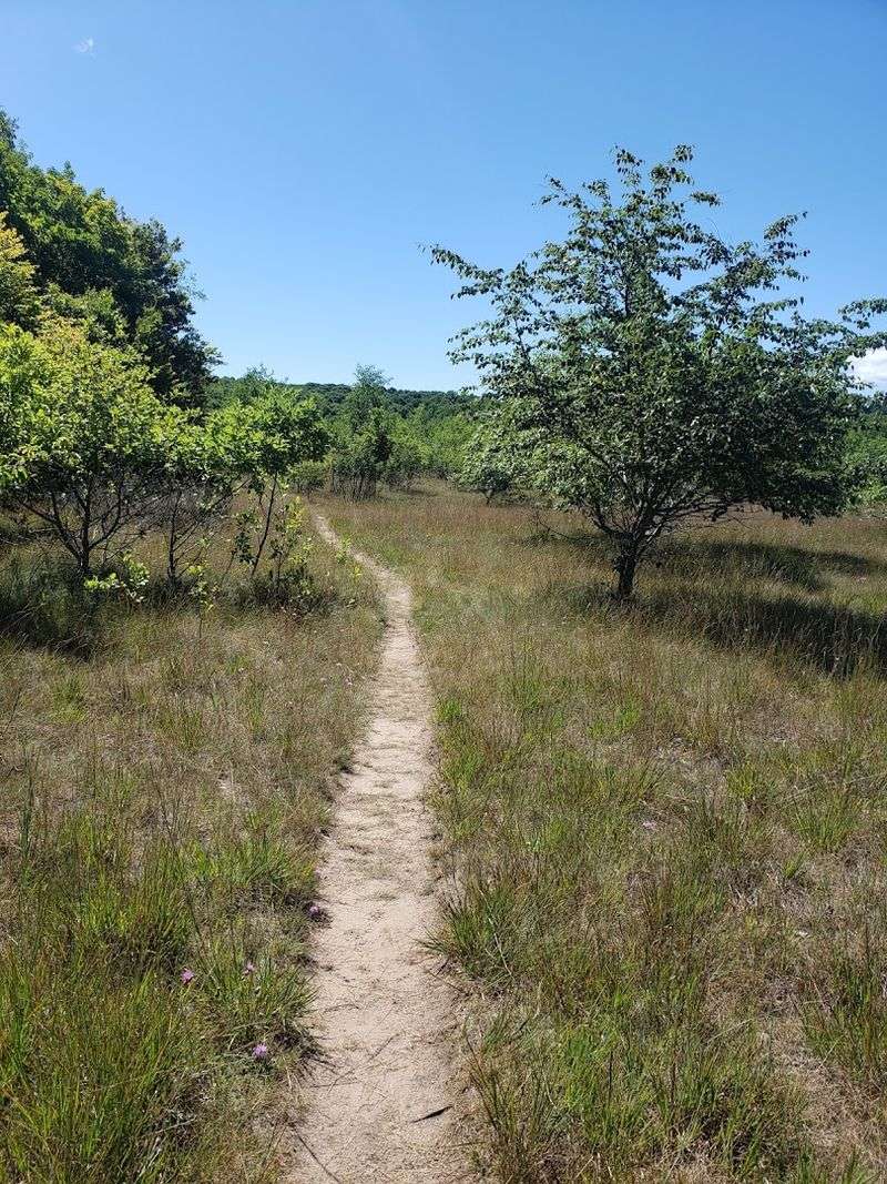 North Manitou Island