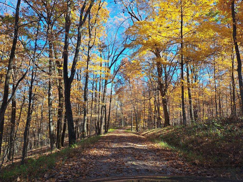 South Ridge Road, Laurelville South Ridge Road, Laurelville