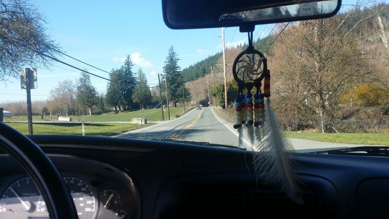 South Skagit Highway, Skagit County