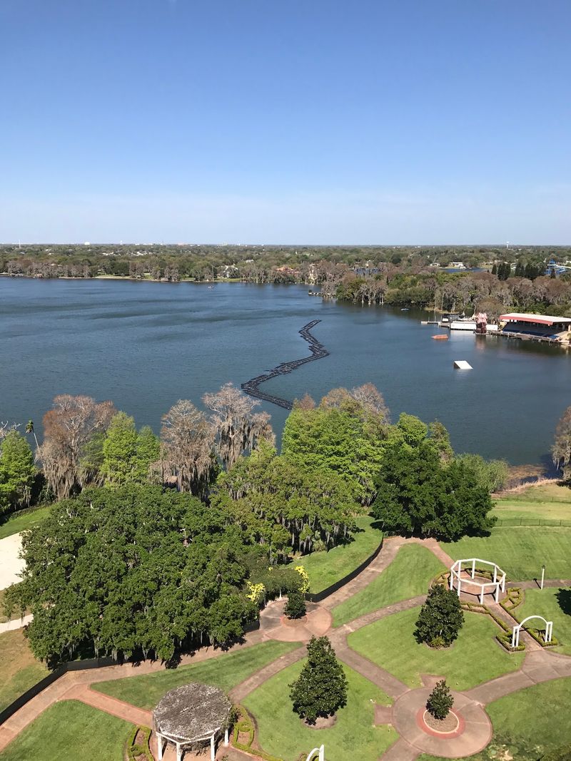 Southern Belles And Botanical Beauty At Cypress Gardens