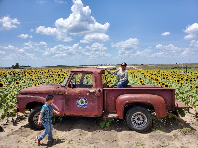 Southern Hill Farms, Clermont