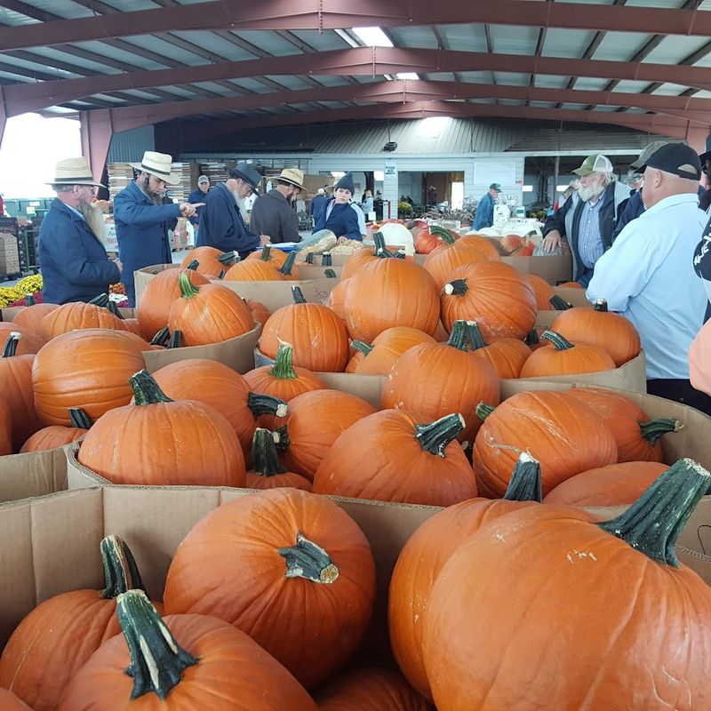Southern Iowa Produce Auction