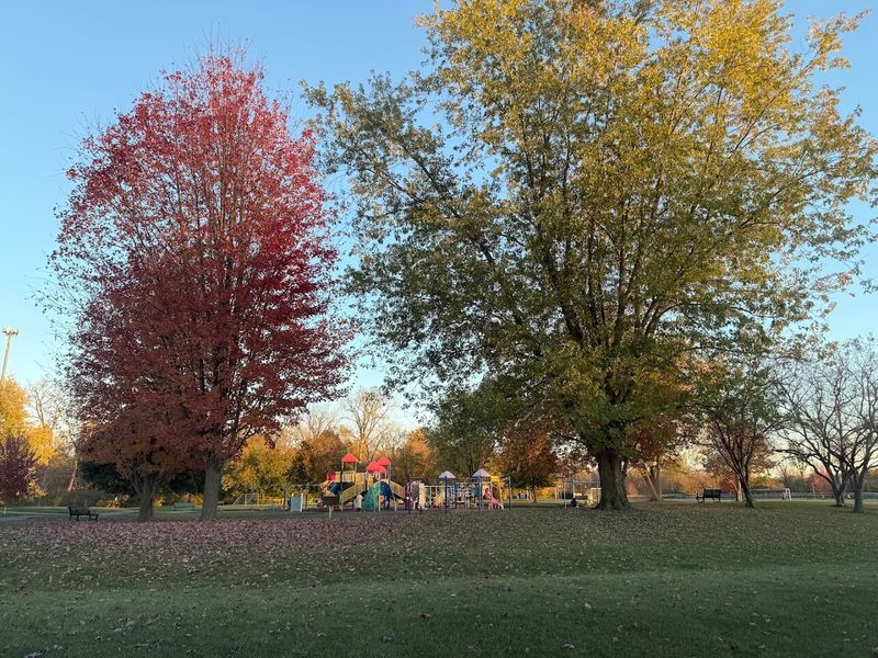 Tate Park, Morning Light