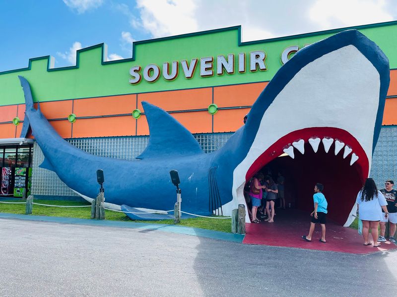 Souvenir City