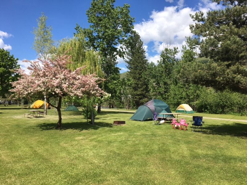 Spacious Sites For Tents And Big Rigs Alike Spacious Sites For Tents And Big Rigs Alike