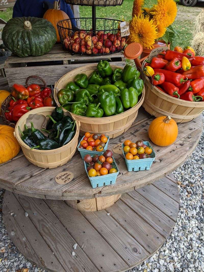 Spear Spring Farm, Warren