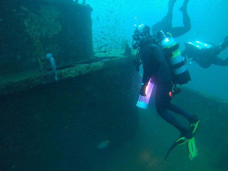 A Conservation Success Story That Keeps Getting Better