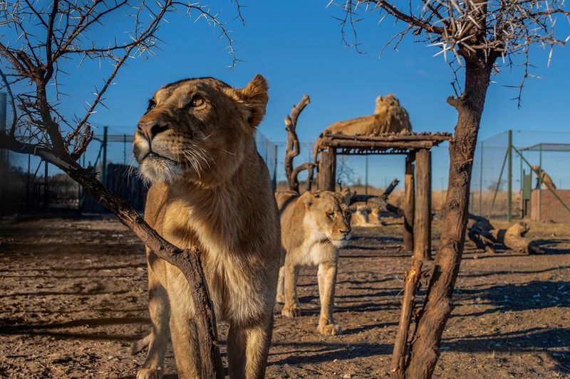 Photo Opportunities Throughout The Zoo