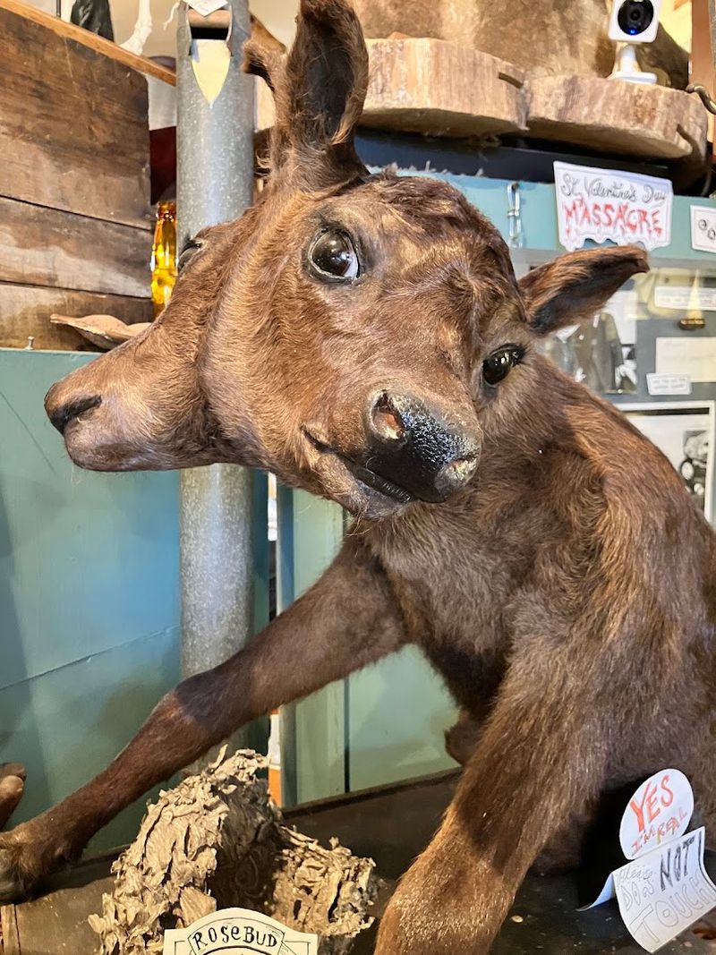 Why Alton Makes It Special