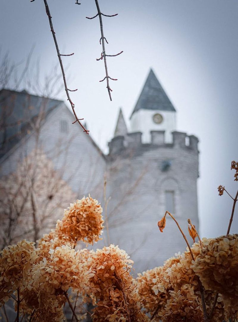 Resident Cats That Roam The Castle Freely