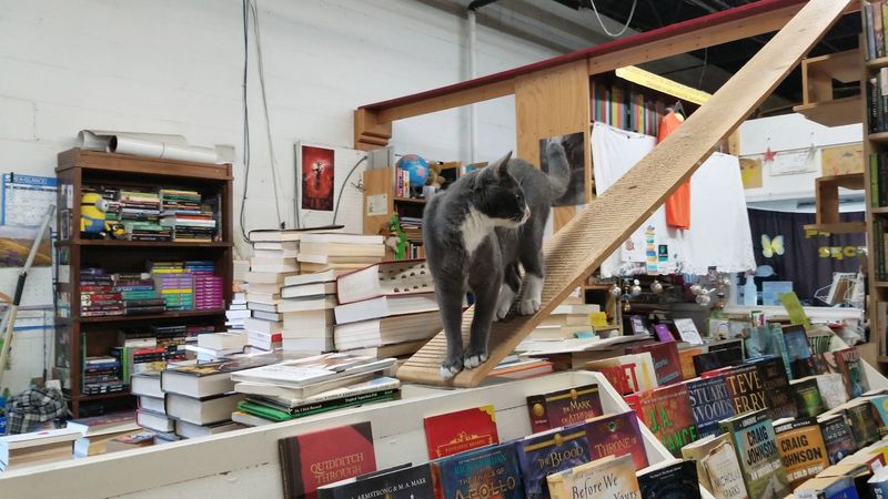 Trade-In Program Offers Credit For Your Old Books