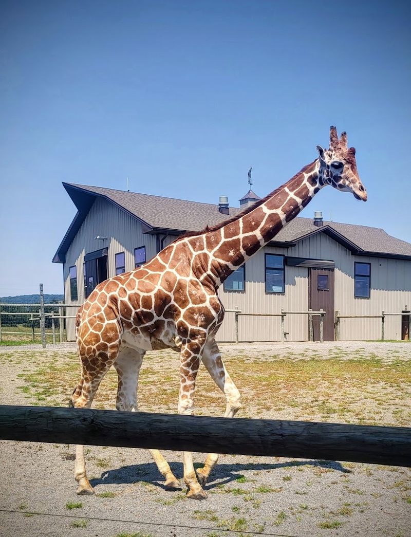 Tips For Planning Your Visit