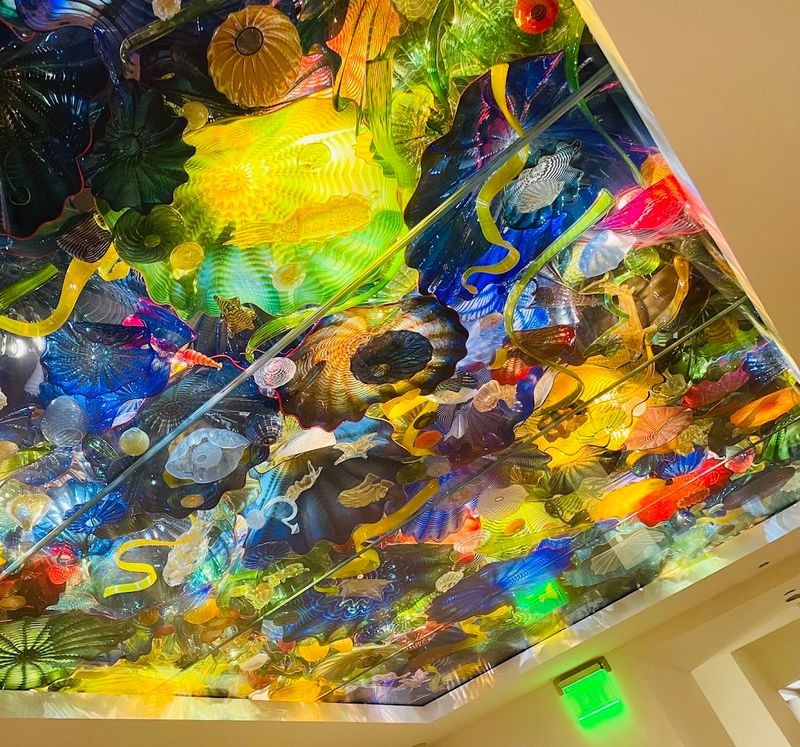 Special Exhibitions That Keep Every Visit Feeling Brand New