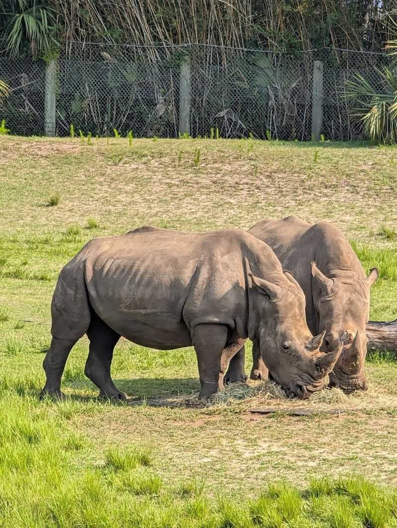 Long-Term Rehabilitation Spaces