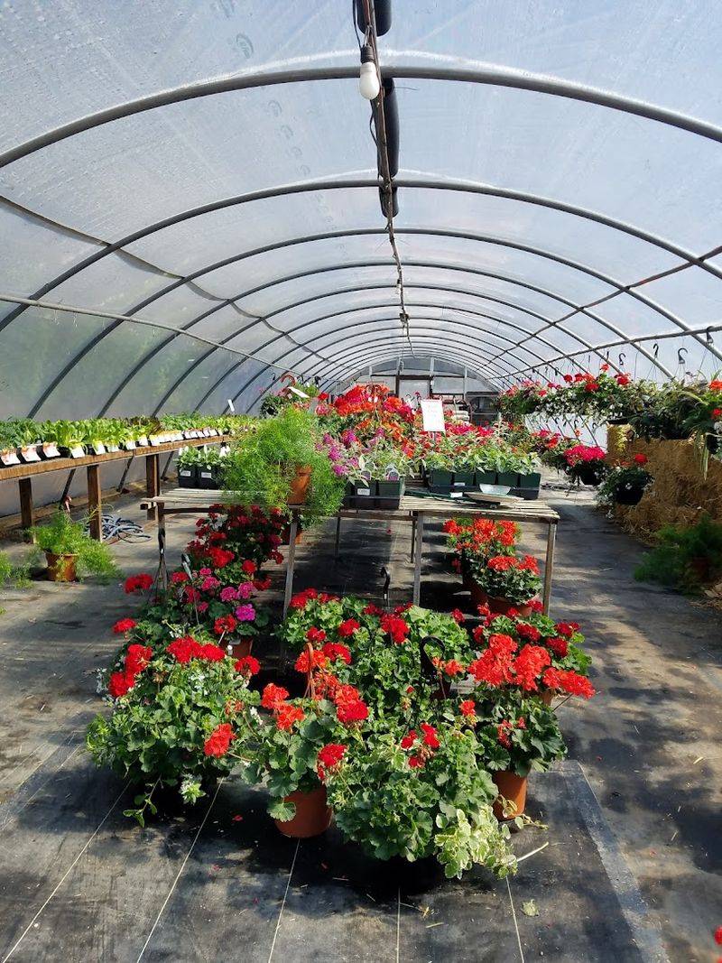 A Garden Center Bursting With Color Through The Seasons