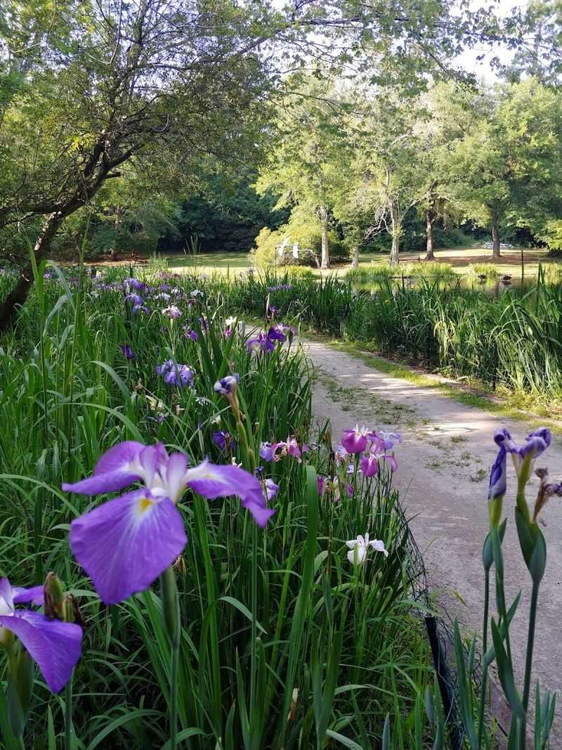 Specialty Gardens Hidden Within The Larger Park