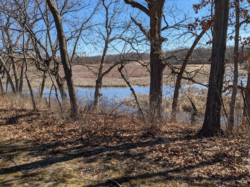 Wildlife Photography Opportunities 