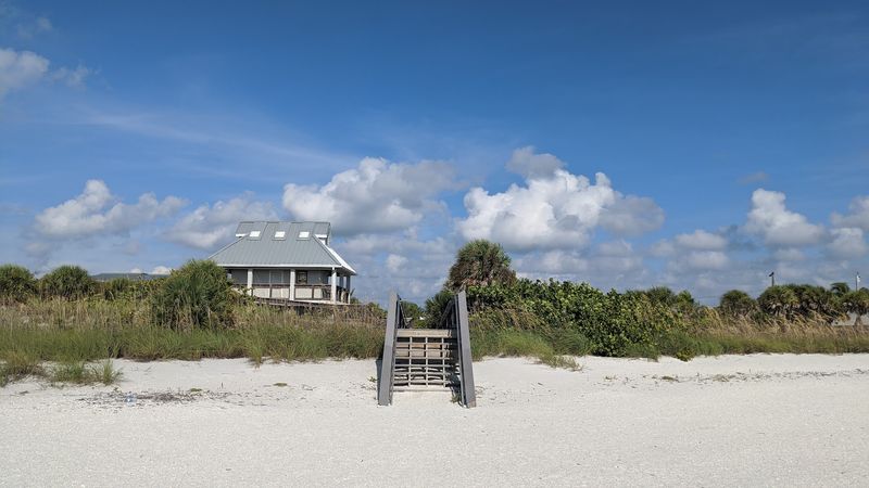 Majestic Banyan Tree Canopy