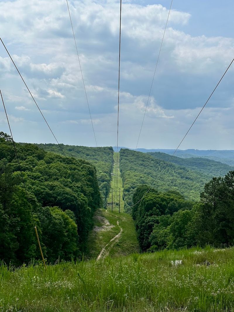 Views Extending Across Forested Ozark Hills