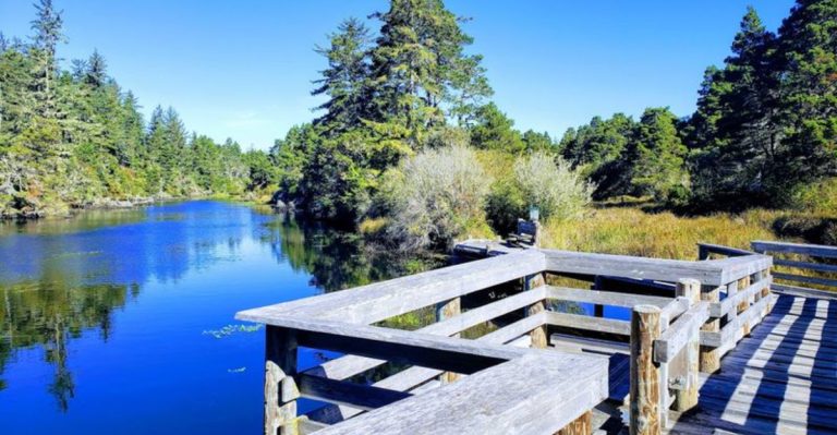 Spend A Day Swimming And Hiking At This Oregon Park For Just $10