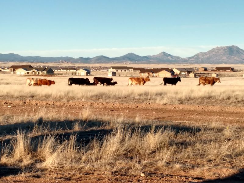 Spend A Fall Weekend In Chino Valley, Arizona
