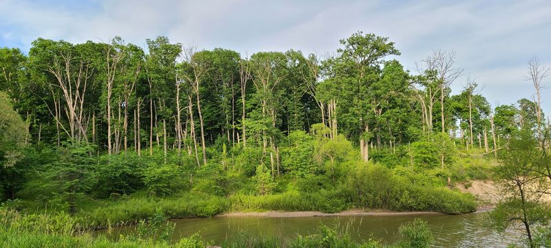 Quick Snapshot: Everything You Need To Know Before You Go