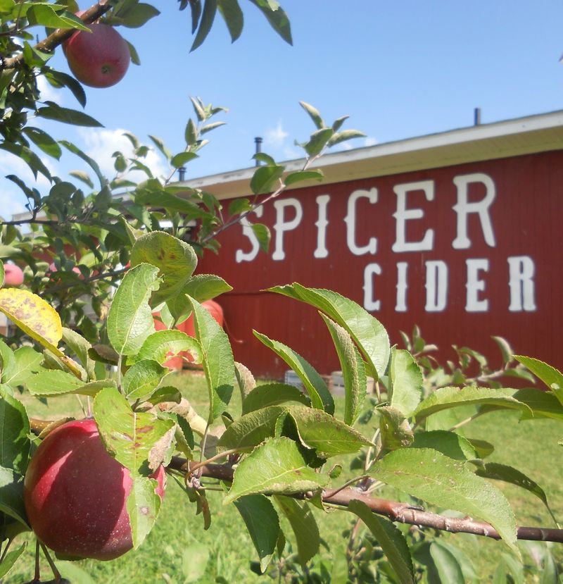 Spicer Orchards Spicer Orchards