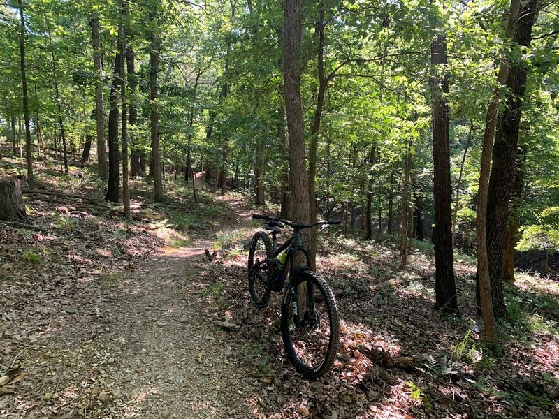 Ozark Plateau Trail, Rogers