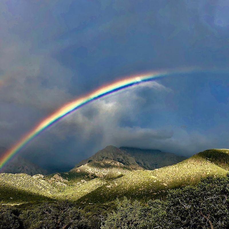 Spring Timing That Actually Rewards Patience